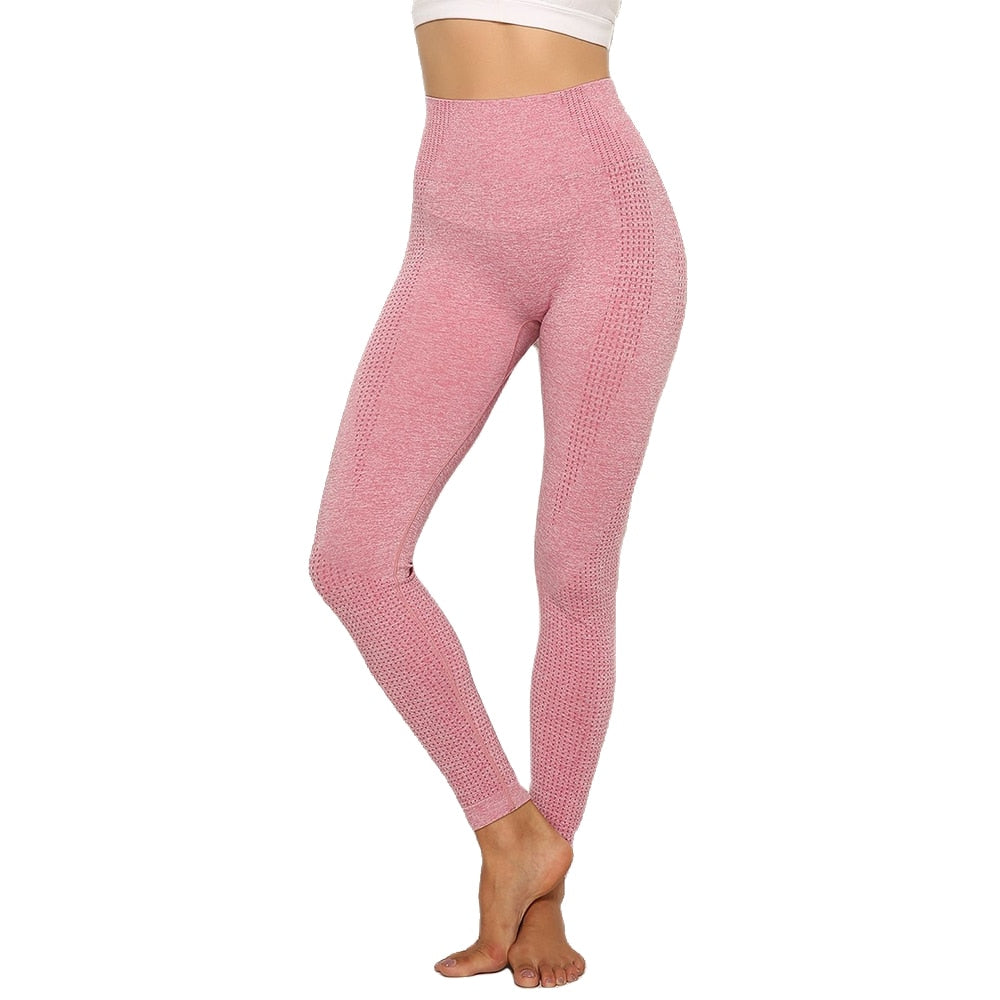 Seamless High Waist Women's Fitness Yoga Pants Leggings